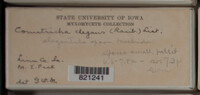 Image Associated With the Occurence